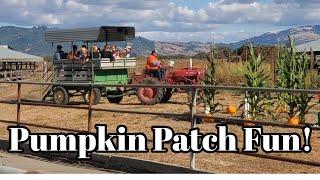 Pumpkin Farm Visit! With Spook House!