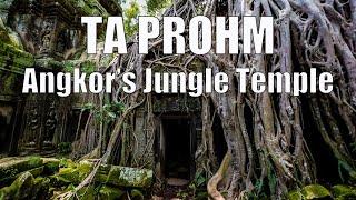 Ta Prohm  - Angkor's Jungle Temple