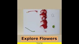 Explore Flowers | ThinkTac | #YouTubeShorts #DIY #Short #DIYscience