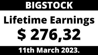 BIGSTOCK Lifetime Earnings $ 276.32