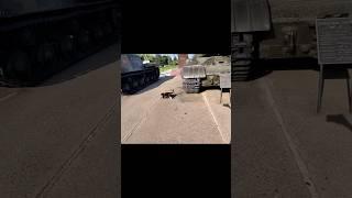 Кот танкист. #kirmenby