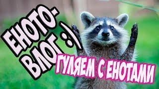 ЕНОТОВЛОГ //Яруша #настяданя