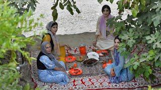 IRAN Village Cooking The Most Delicious Iranian Stew