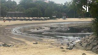 Oil washes up at Singapore beaches: Tanjong Beach and East Coast Park affected