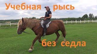 Учебная рысь без седла и снова про копчик.