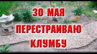 30 мая.  Перестраиваю клумбу, которую заложила осенью