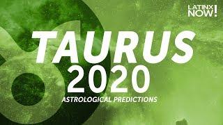 Taurus 2020: Horoscope, Tarot, and Astrology Predictions | Latinx Now! | Telemundo English