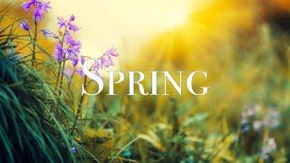 SPRING VIDEO | Free Stock Footage | Free HD Video - no copyright