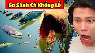 SO SÁNH CÁC LOÀI CÁ KHỔNG LỒ TRÊN THẾ GIỚIJAYGRAY PHÁT HIỆN CHIỀU DÀI THẬT SỰ THỦY QUÁI THE BLOOP