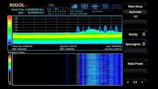 Introduction into Real-Time Spectrum Analysis