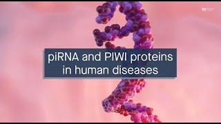 Exploring the roles of piRNA and PIWI proteins in human diseases