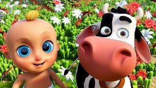 La Vaca Lola, Los Pollitos y Las Mejores Canciones Infantiles | LooLoo