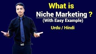 What is Niche Marketing with example ? Urdu / Hindi