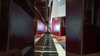 From Me To You by The Beatles - Piano Cover.#Piano #PianoShorts #PianoCovers #Musician #PianoPlayer