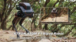 ATOM P1: Advancing Humanoid Robotics with Innovative Neural Network Design（2024）