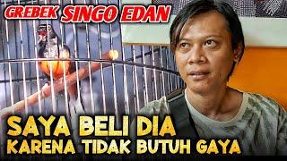 Murai Singo Edan , Murai Jaman Know - Grebek Murai Singo Edan Part 1/2