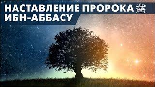 Наставление Пророка ﷺ ибн-Аббасу