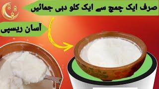 Dahi Jamane ki Tarika | میٹھا دہی جمانے کا طریقہ | Ishrat Jahan Food | Ramadan Special...