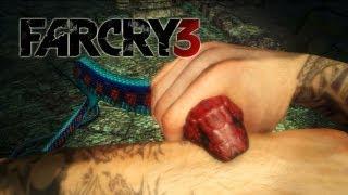 UN DÍA DE PERROS!! FAR CRY 3