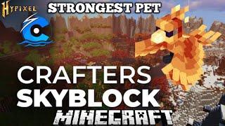 WAYS TO GET PHOENIX PET IN CRAFTERSMC SKYBLOCK SERVER #craftersmc #hypixal #frostnetwork #minecraft