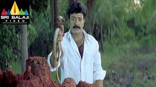 Gorintaku Movie Rajasekhar Meera Jasmine Scene | Rajasekhar, Aarti Agarwal | Sri Balaji Video