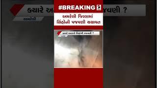 Amreli News | અમરેલી જિલ્લામાં સિંહોની પજવણી યથાવત | Lion | Gujarat