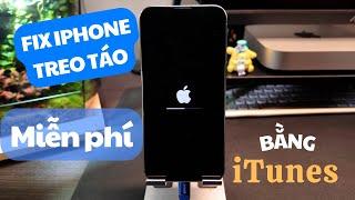 Cách sửa iPhone treo táo bằng iTunes nhanh chóng và miễn phí