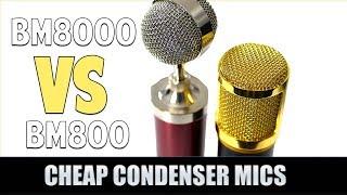 BM800 vs BM8000 Microphone Review - Which is Best? (Pros and Cons of Both)