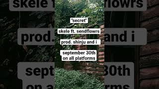 skele ft. sendflowrs -"secret"