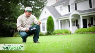 What to Expect from Your Lawn Care Plan from TruGreen