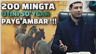 АБДУЛАЗИЗ ДОМЛА. ОТЛАРГА МУҲАББАТ ! ABDULAZIZ DOMLA. OTLARGA MUHABBAT @AbdulazizDomla