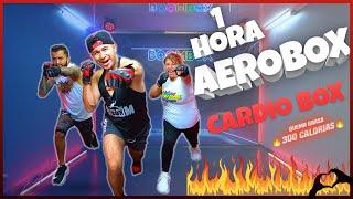 AEROBOX para QUEMAR Grasa CARDIO BOX BEST WORKOUT