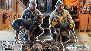 Coon Hunting 2022 Episode 3 Black and Tan Coonhounds featuring Chad McCoin and Brad Hile