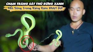 CHẠM TRÁN SÁT THỦ RỪNG XANH | 48h SỐNG TRONG RỪNG RẬM NHIỆT ĐỚI | TẬP 2