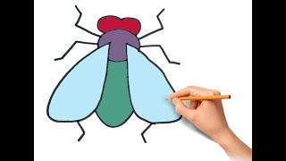 EASY FLY DRAWING   / HOW TO DRAW A FLY STEP BY STEP