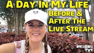 A Day In My Life - What I Did Before & After The Magical Monday Live Stream