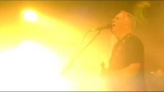 DAVID GILMOUR - COMING BACK TO LIFE