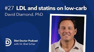 LDL and statins on low carb with David Diamond, PhD — Diet Doctor Podcast