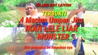 4 Macam Umpan Jitu IKAN Lele Liar || Umpan jitu ikan Lele  Liar  di sungai