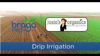 SUSTAINABILITY DRIP IRRIGATION