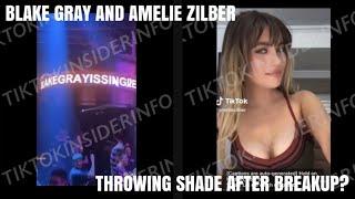 Amelie Zilber and Blake Gray being shady after breakup? | TIKTOKINSIDERINFO