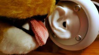 Cleaning your ears (mouth sounds, licking, kissing) ASMR audio