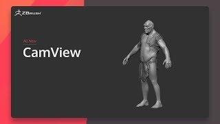 ZBrush 2020 - CamView