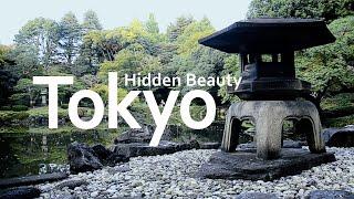 Hidden Beauty in Tokyo – Roses, Stone Gardens, Kyū-Furukawa Gardens【Walk in Japan】  Johnny JAM