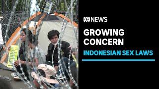 Concerns grow over Indonesia's controversial criminal code | ABC News