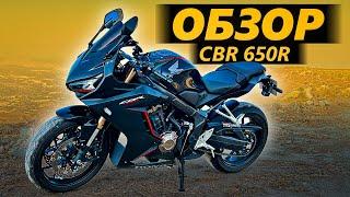 ОБЗОР Honda CBR 650R. Ультимативный хомяковоз