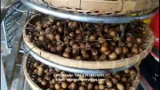 The litchi drying factory producing the dried litchi fruit by litchi dryer machine