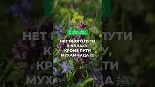 Нет иного пути к Аллаху, кроме пути Мухаммада ﷺ | Абу Яхья Крымский