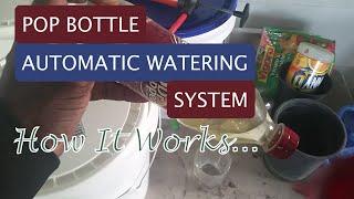 Pop Bottle Automatic Watering System • How It Works