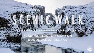 Fjaðrárgljúfur Canyon | Suðurland | Iceland【SCENIC WALK】